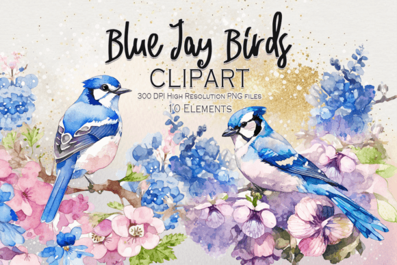 Watercolor Blue Jay Birds Clipart: Nature's Vibrant Accent